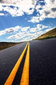 a long job search journey